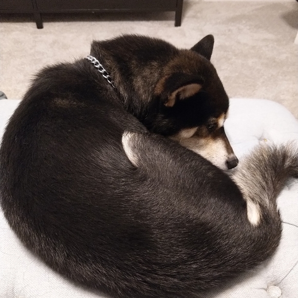 Oh, hi I'm Steff - Picture 2 of 3